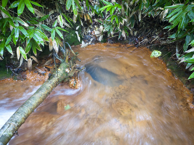 P1330777.jpg