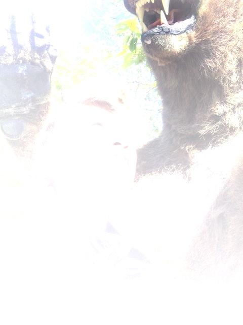 SH3D0017.jpg