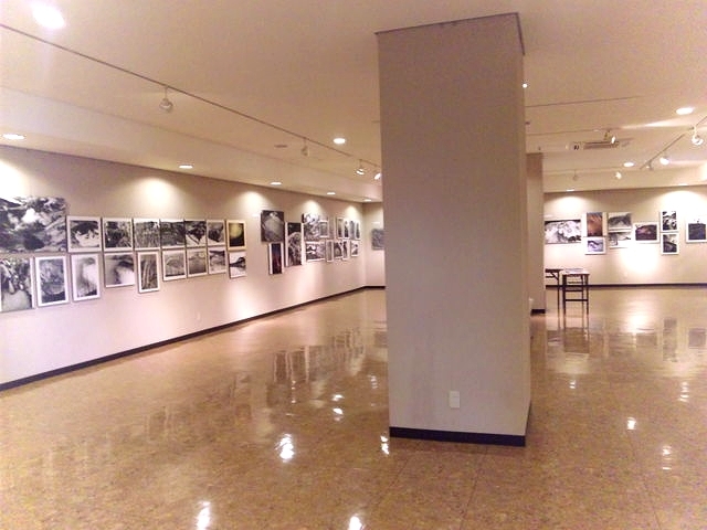 SH3D0251.jpg