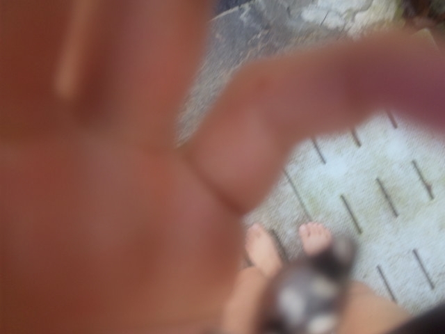 SH3D0271.jpg
