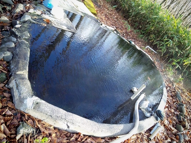 SH3D02790.jpg
