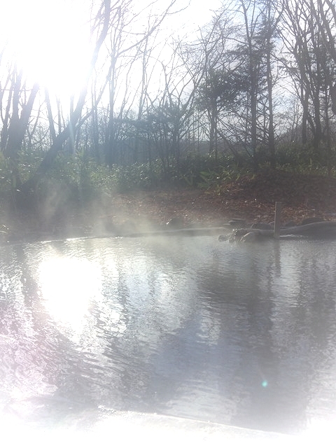 SH3D02930.jpg