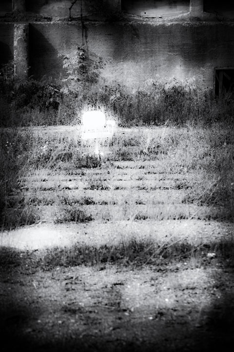 lovelatte2_08511.jpg