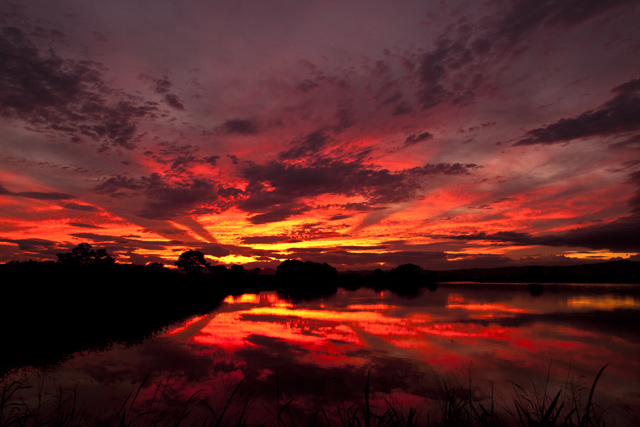 lovelatte2_08975.jpg