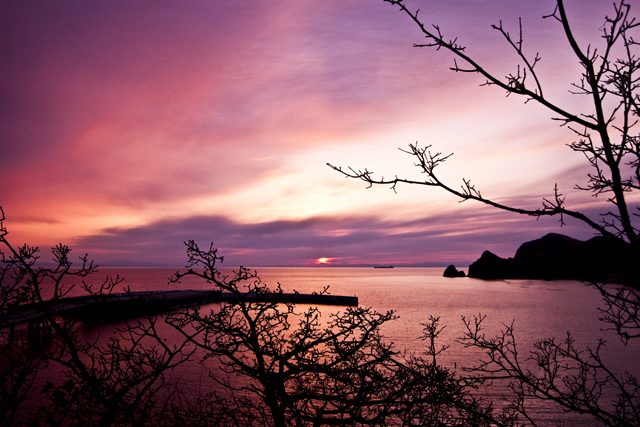 lovelatte2_32110.jpg