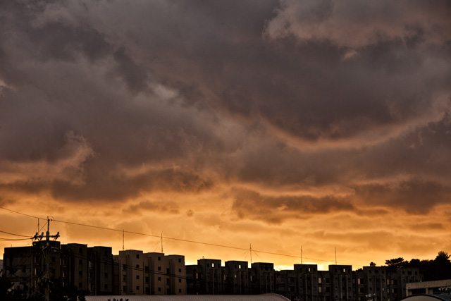 lovelatte2_71411.jpg