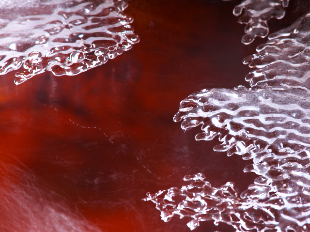 lovelatte_0493.jpg