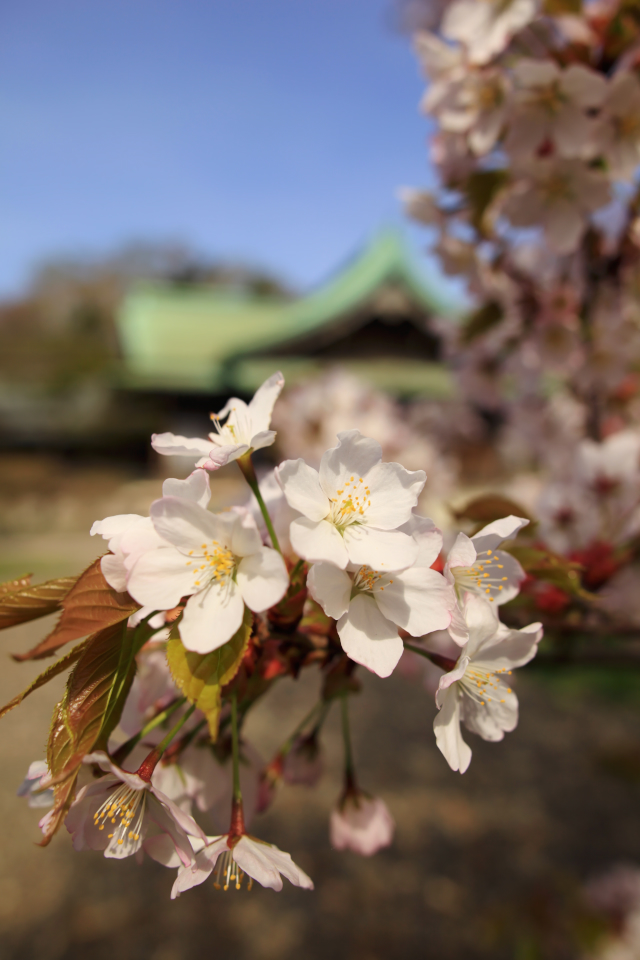 lovelatte_5647.jpg
